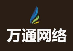 计算机技术服务综合解决方案 从开发到集成与销售